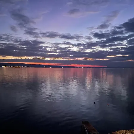 Dream View