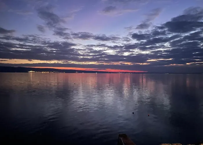 Dream View